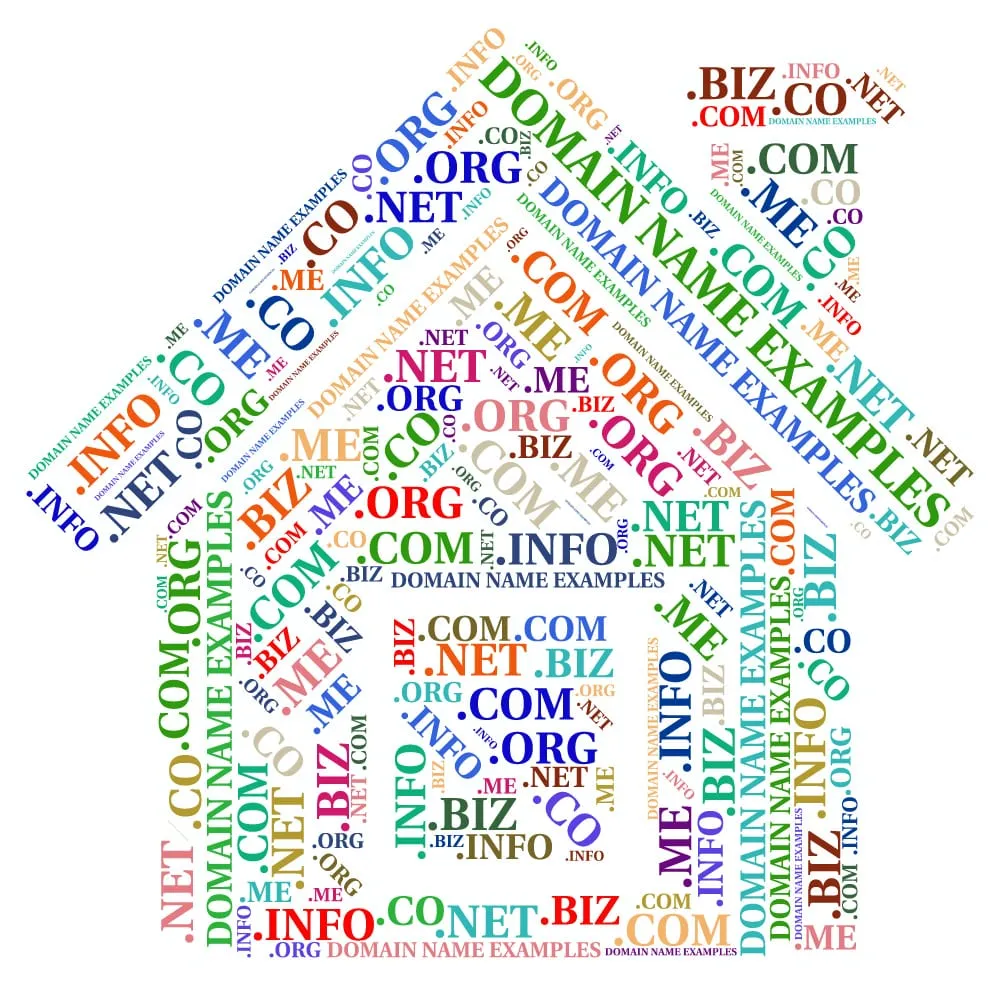 Does Owning More Domain Names Equal SEO Success?